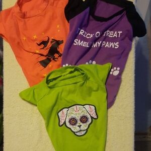 Halloween Dog T-Shirt Set - Orange, Purple, Green